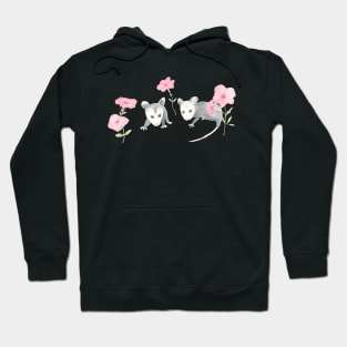 Baby Opossums and Pink Petunias Hoodie